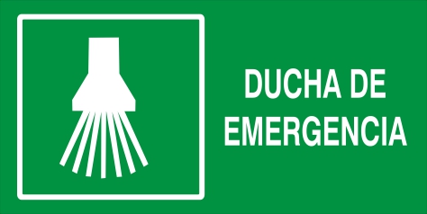 Ducha de Emergencia (SI-004)