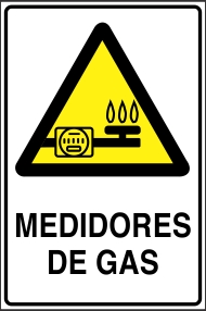 Medidores de Gas (EDI-0029)
